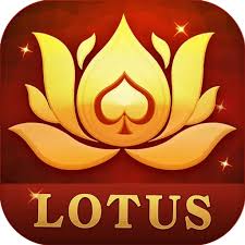 teen patti lin download